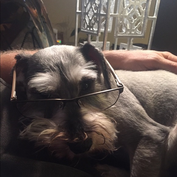 Meet your Posher, Kevin - Picture 1 of 1